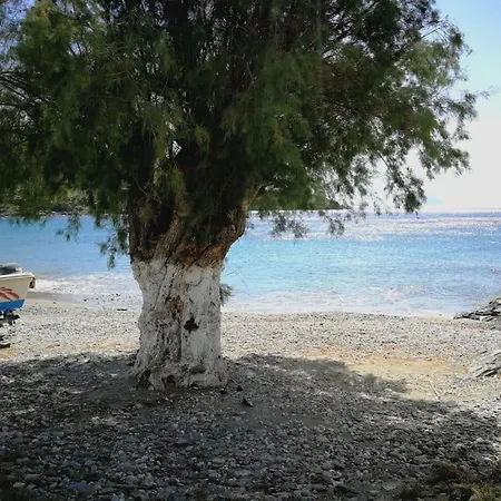 Sea View, Charming House Walkable To Beach בית נופש קיתנוס